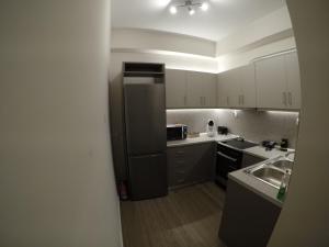 Kuchyň nebo kuchyňský kout v ubytování Irene Luxe Loft