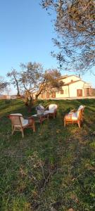 a group of benches sitting in the grass in front of a house at Podere Le Querce in Montebuono