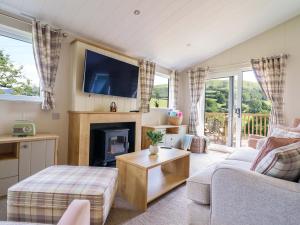 a living room with a fireplace and a tv at The Owlet in Llanidloes