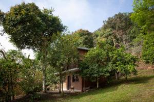 a house on a hill with trees around it at Román Cabañas del Mirador 4 in Pahuatlán del Valle