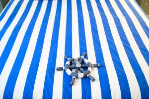 Gallery image of Casa Titti in Vietri sul Mare +58 photos