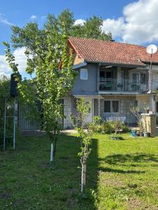 a house with two small trees in the yard at Kuća na obali Save in Obrenovac