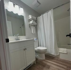 un bagno con wc, lavandino e doccia di Manitoulin Inn a Mindemoya Altre 26 foto