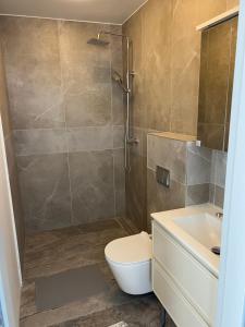 a bathroom with a shower and a toilet and a sink at Svečių namai PAS MEŠKĄ in Karklė +24 photos