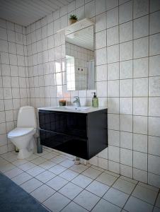 a bathroom with a sink and a toilet at Guldmark in Lemvig +14 photos