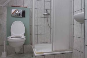 a bathroom with a toilet and a shower at Holiday home in Balatonmariafürdo 38170 in Balatonmáriafürdő +10 photos