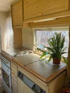 a kitchen with a plant on a counter with a window at Vintage Nest by the Sea in Saraiķi