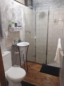 un bagno con doccia, wc e lavandino di Log in At 118 Log 1 a Meyerton
