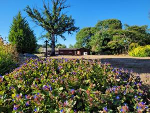 a bush of flowers in front of a building at Kanevedenn in Val Couesnon