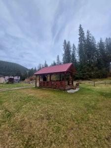 eine Hütte mit rotem Dach auf einem Feld in der Unterkunft Cabana Elena in Izlaz + 2 Fotos