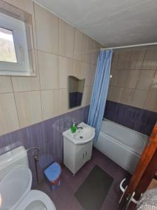 ein Badezimmer mit Waschbecken, Toilette und Badewanne in der Unterkunft Cabana Elena in Izlaz