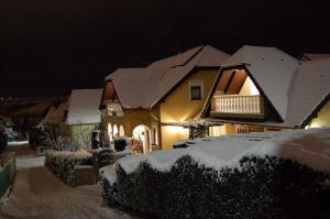 Apartment in Heviz/Balaton 18892 v zime