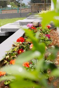 Galeriebild der Unterkunft Hidden Gem Cozy Countryside in Rio Grande