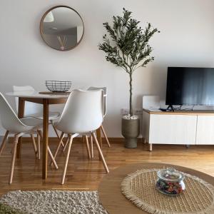 TV a/nebo společenská místnost v ubytování Apartman Pazova
