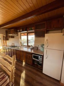 a kitchen with a white refrigerator and a sink at На Замковiй горi in Kosiv