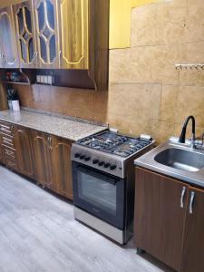Kuchyň nebo kuchyňský kout v ubytování Agro Guest House Tsiskari in Machakhela