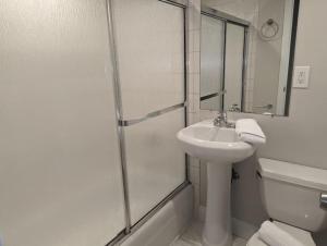 a bathroom with a shower and a sink and a toilet at Urban Chic South End Studio in Boston