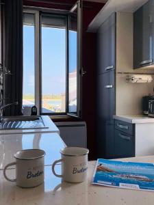 a kitchen with two coffee mugs on a counter at Résidence V01-tregastel - Studio dans le centre plages et commerces à pied MAE-5111 in Trégastel