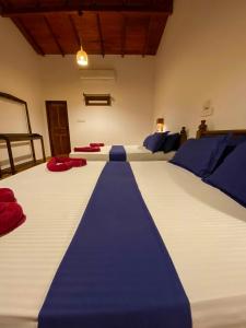 a bedroom with two beds with blue and white sheets at Oasis Bay - Arugam Bay in Arugam Bay