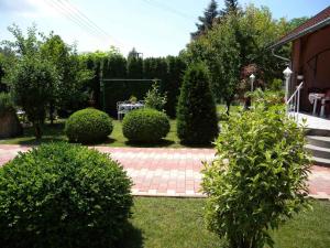 Vonkajšia záhrada v ubytovaní Apartment Balatonfenyves/Balaton 18360 + 1 fotografia