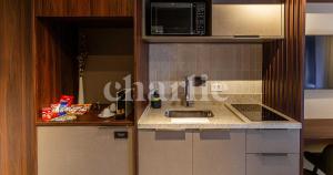 Iconyc Charlie Ibirapuera Hotel的厨房或小厨房