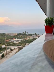 a potted plant sitting on a balcony with a view of the ocean at Odore di Mare 2 in Qeparo