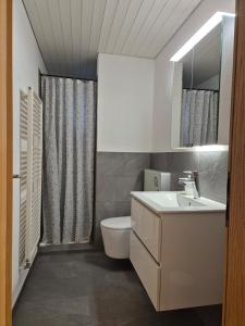 Koupelna v ubytování Apartment for 3, close to Zurich and Luzern, free private parking