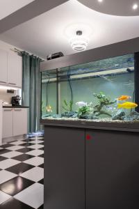 an aquarium in a kitchen with a fish tank at Aphrodites House Upon White Tower in Thessaloniki