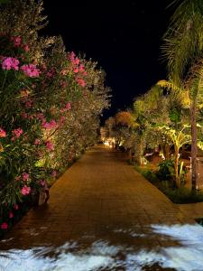a street lined with trees and flowers at night at Rida Village Ksamil Island in Ksamil