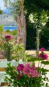 a garden with pink and white flowers on a table at Rida Village Ksamil Island in Ksamil