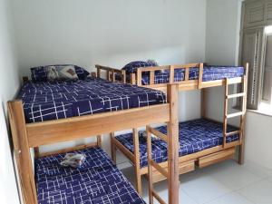 two bunk beds in a room with a cat on the floor at C&R hostel residência in Salvador
