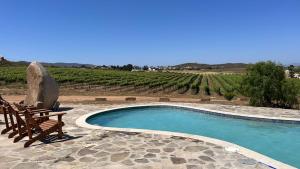 a swimming pool with a bench and a chair next to a vineyard at En'kanto Valle de Guadalupe in San Marcos