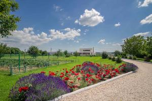 Vonkajšia záhrada v ubytovaní Apartment in Cserszegtomaj - Balaton 43108