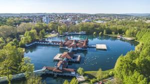 Príroda v okolí apartmánu