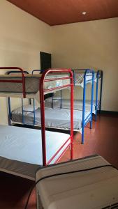 a group of bunk beds in a room at SAM TRAVEL LEON in León