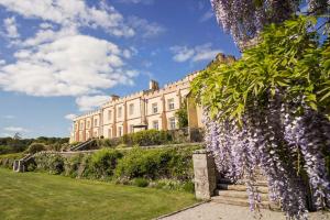 a building with a bunch of purple flowers at Tamar Castle in St Mellion