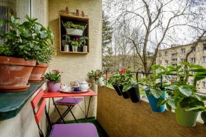 Zahrada ubytování Apartament Tosia Zakopane