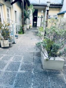 a stone walkway with potted plants on it at VIA VALENTINA "el deseo de volver" departamentos temporales sobre Av Eden centro in La Falda