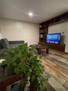 モレリアにあるDepartamento Chapultepecのソファとテレビのあるリビングルーム