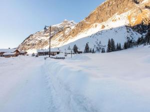 Alpine Chalet with Spa and pets, cleaning included im Winter