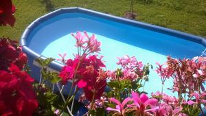 The swimming pool at or close to Gut Römerhof