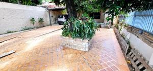 Un jardín fuera de Accommodation-House in Asunción