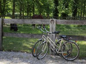 Attività di ciclismo presso l'appartamento o nelle vicinanze