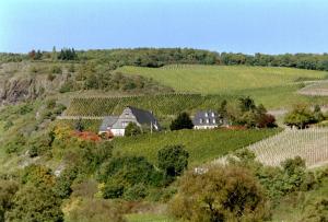 a house in the middle of a hill with vineyards at Gut Hermannsberg, Gästehaus in Niederhausen