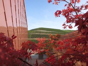 a view of the vineyards from behind a red tree at Gut Hermannsberg, Gästehaus in Niederhausen