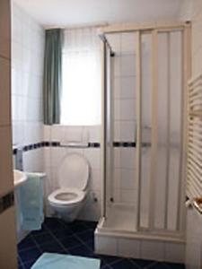 ein Bad mit einem WC und einer Glasdusche in der Unterkunft Appartements Mattioli in Samnaun