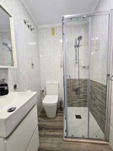 a bathroom with a shower and a toilet and a sink at Studio Emilios Torrevieja in Torrevieja