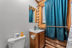 een badkamer met een toilet en een wastafel met een blauw douchegordijn bij Log Cabin, In-Room Jacuzzi, WiFi, Fireplace in Sevierville