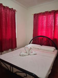 Foto dalla galleria di Smith pension house rental a Olotayan