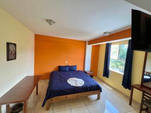 TV a/nebo společenská místnost v ubytování Hotel Casa Rus